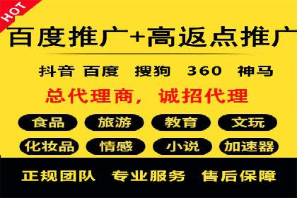 行业领先企业的SEM竞价代运营案例解析